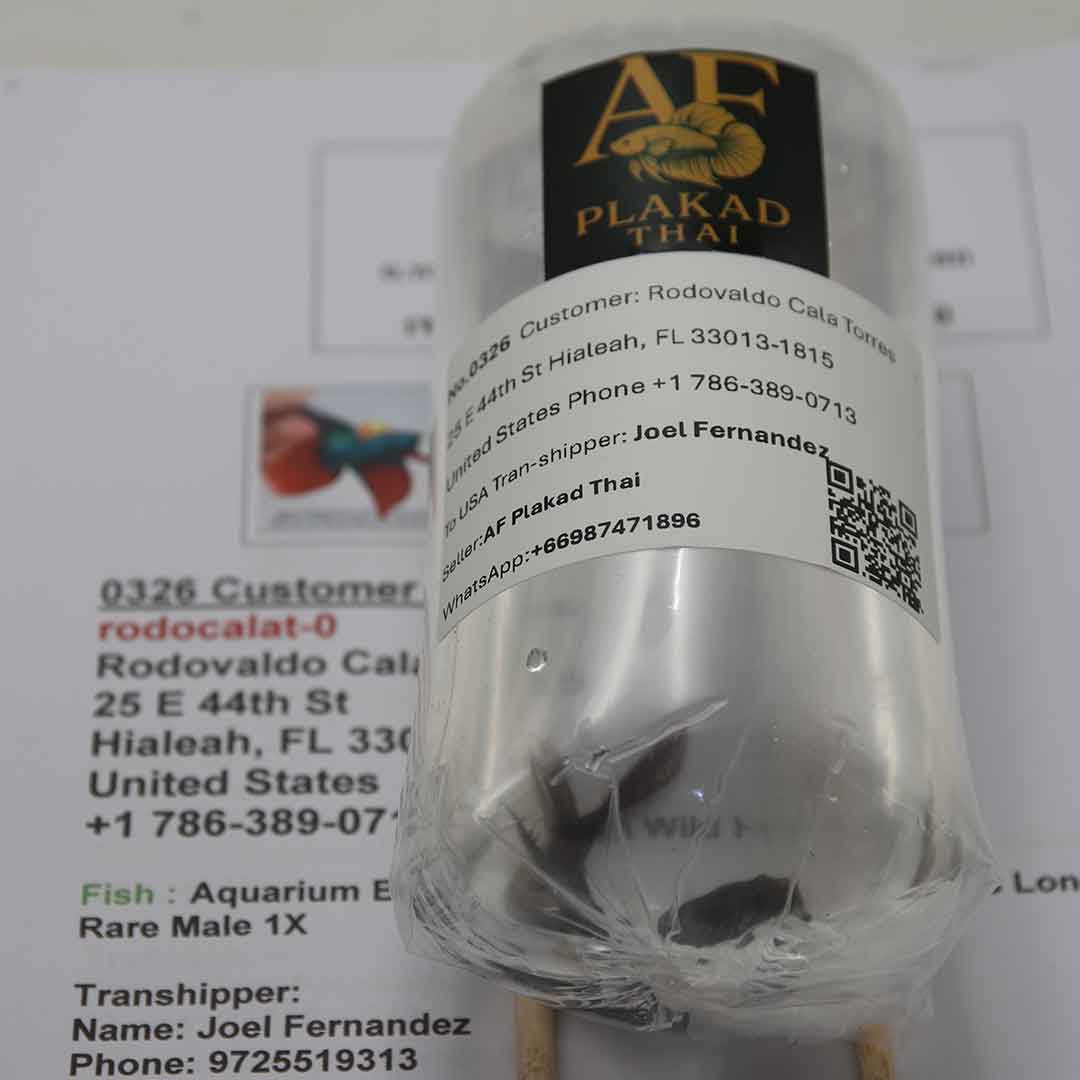 Secure export packaging with clean water and proper oxygen levels